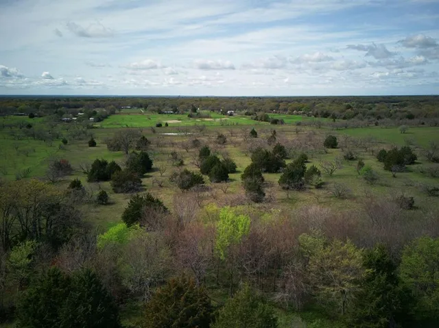 a view of a green field with lots of trees