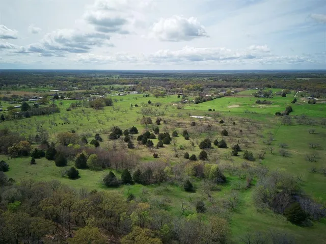 a view of a field with lots of trees