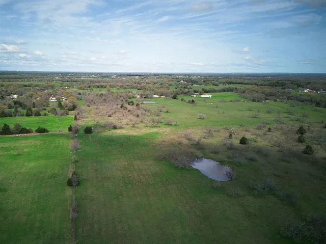 a view of a field with lots of trees