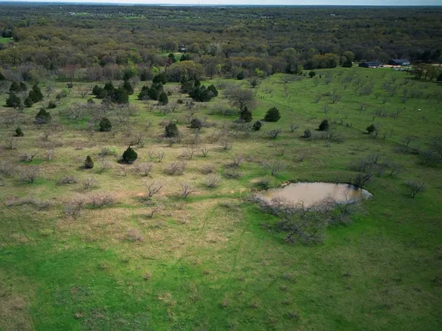 a view of a green field with lots of trees in it