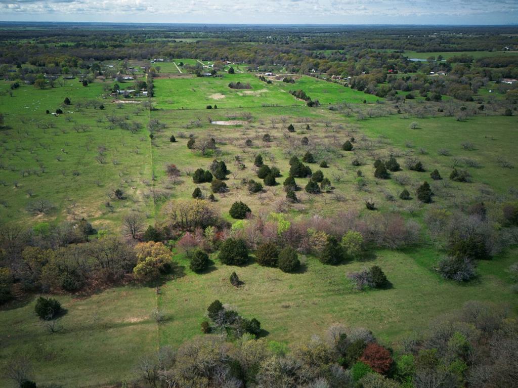 18579 Cr 4061 Road Scurry, TX 75158 - Photo 26 of 33 a view of a green field with lots of trees in it