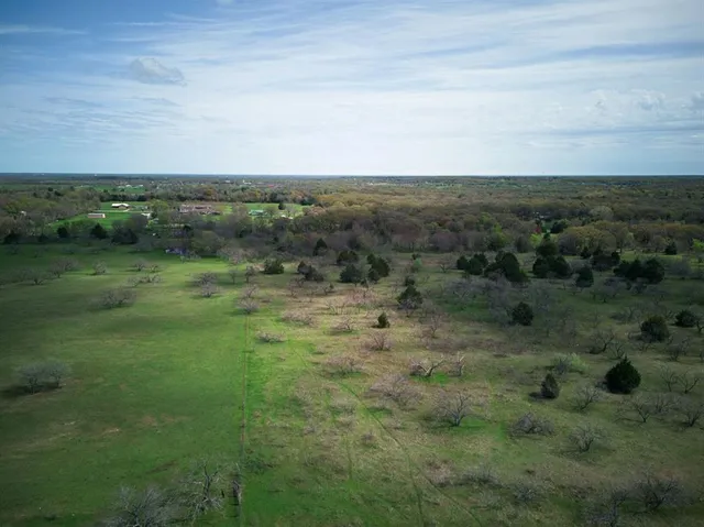 a view of a green field with lots of trees