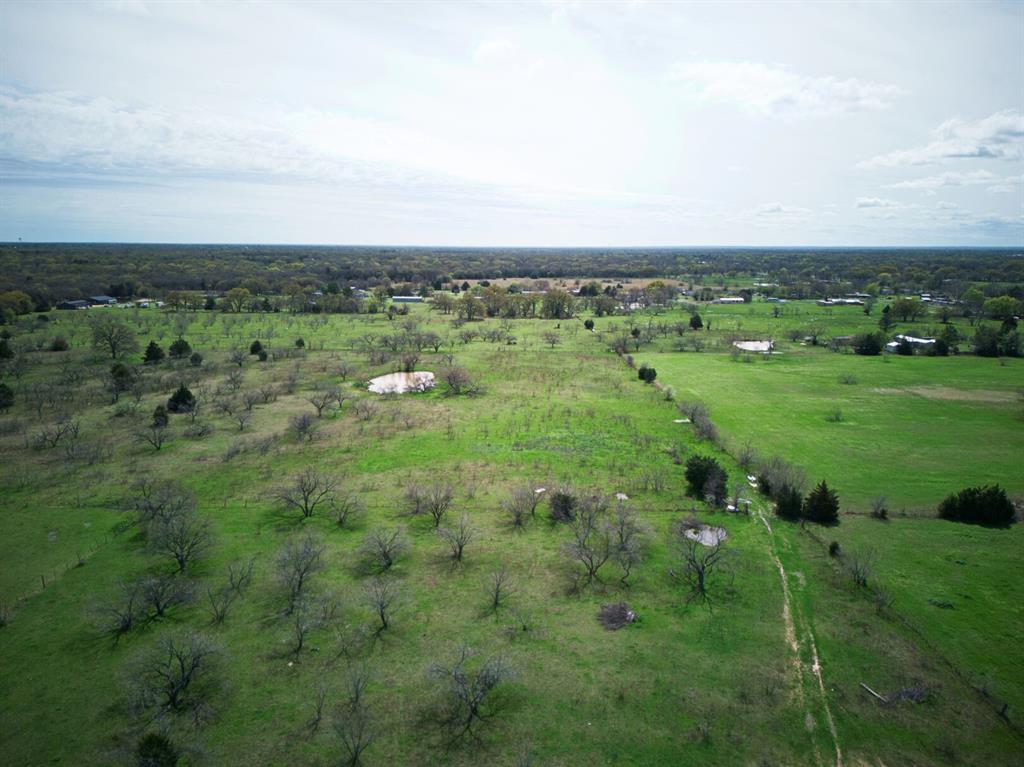 18579 Cr 4061 Road Scurry, TX 75158 - Photo 28 of 33 a view of a green field with lots of trees