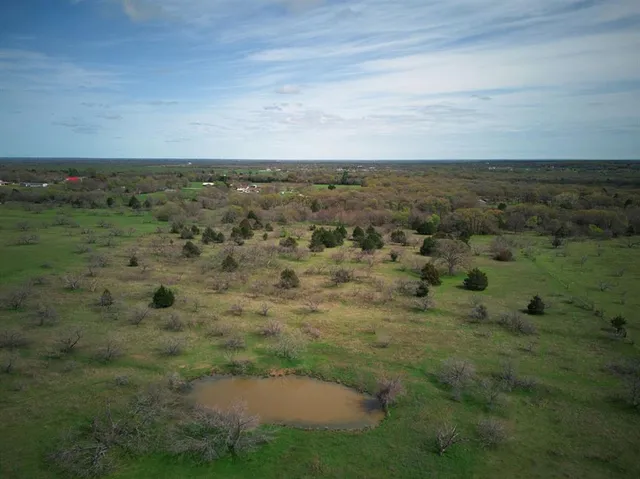 a view of a field with an ocean