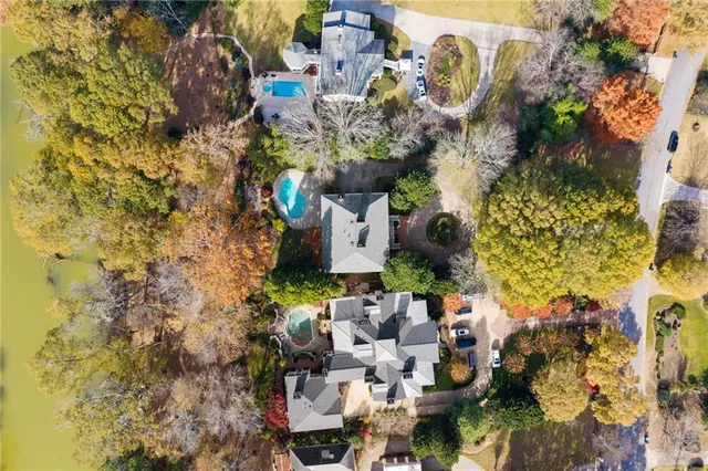 a view of a yard with plants and trees