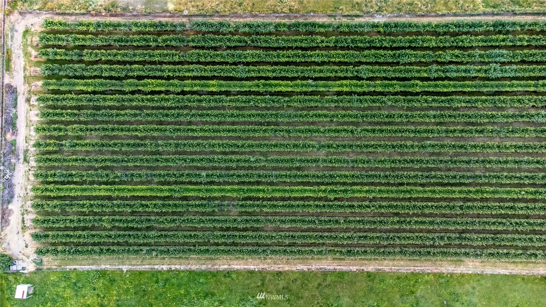 1659 West Gillis Road Othello, WA 99344 - Photo 8 of 38 a view of a green field