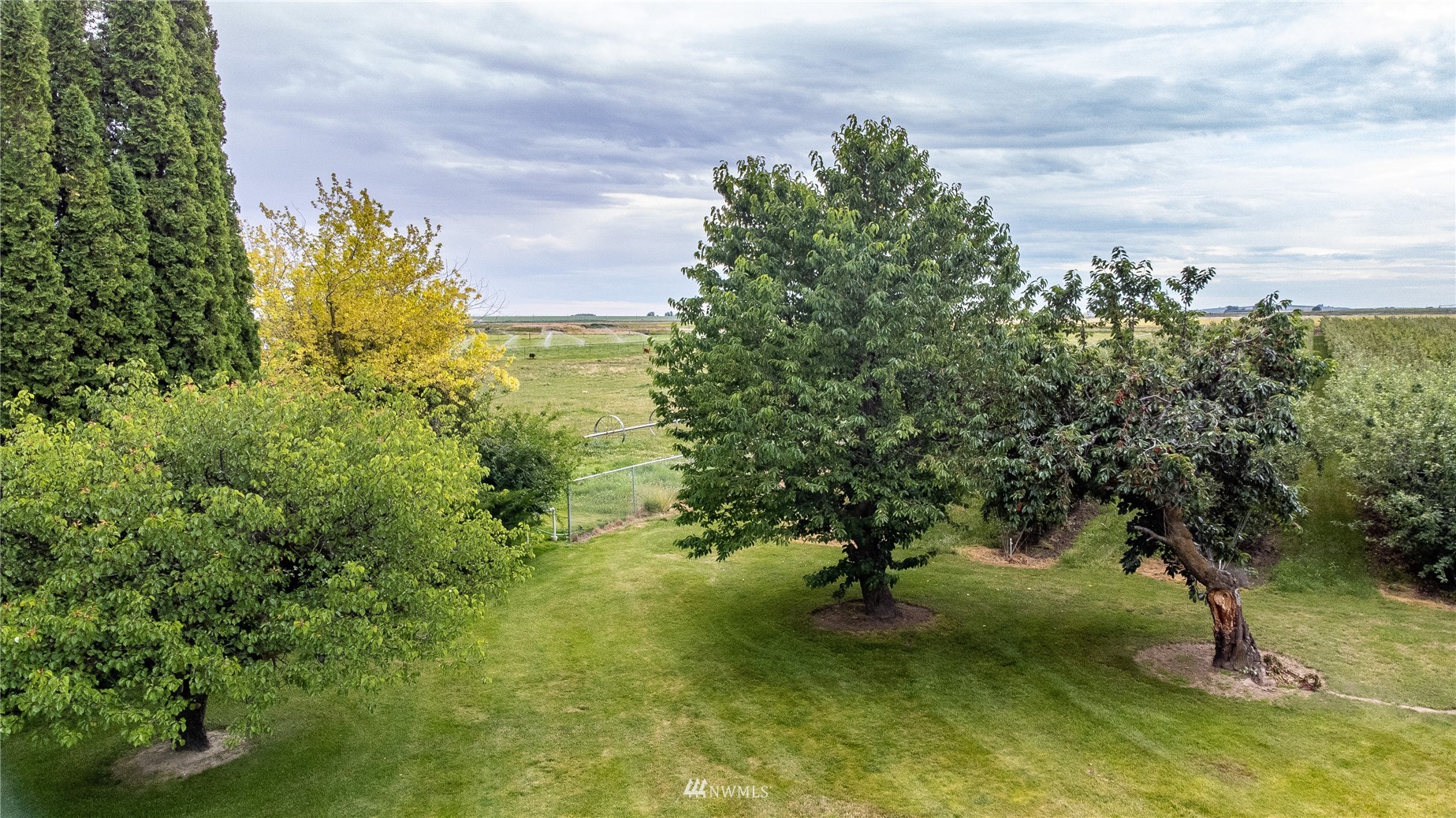 1659 West Gillis Road Othello, WA 99344 - Photo 10 of 38 a view of a garden