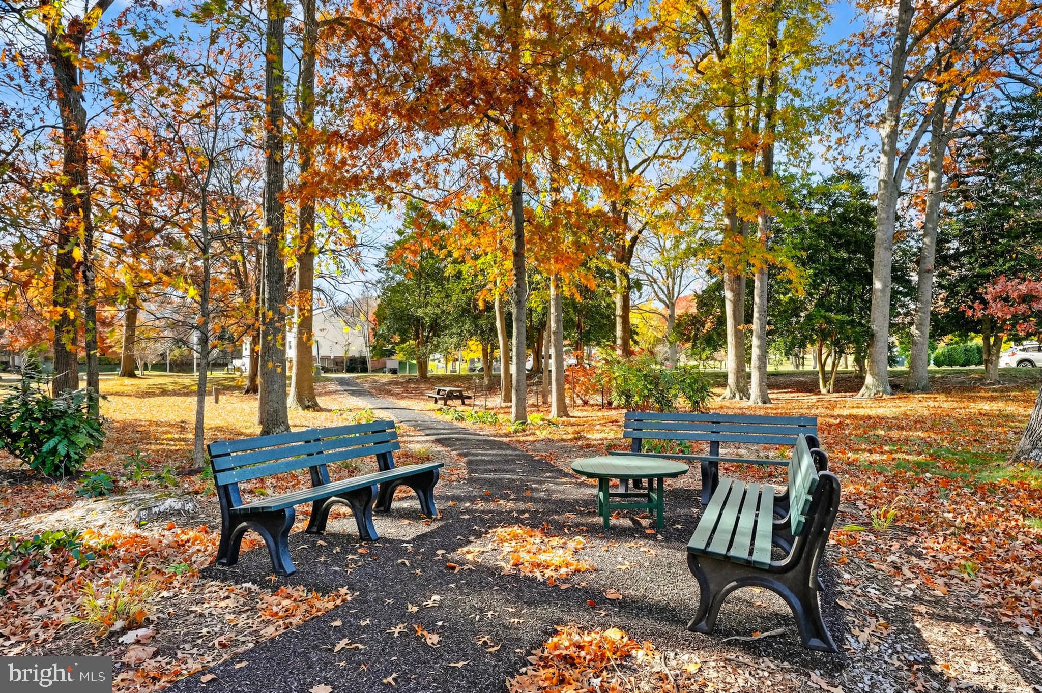 3416 Island Creek Court, Unit 127C Silver Spring, MD 20906 - Photo 49 of 60 a view of a park with bench and trees