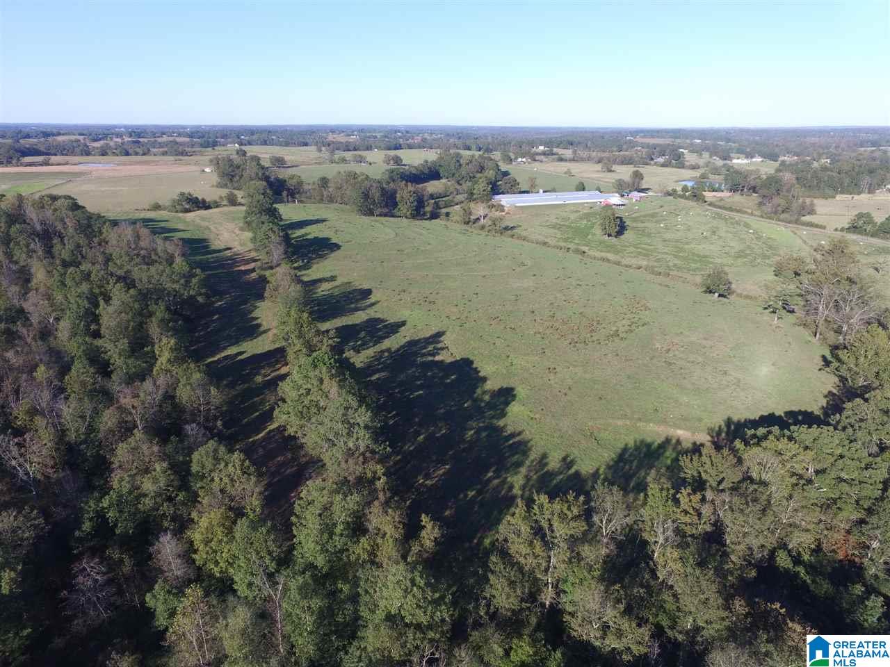 567 Dial Road Blountsville, AL 35031 - Photo 24 of 46