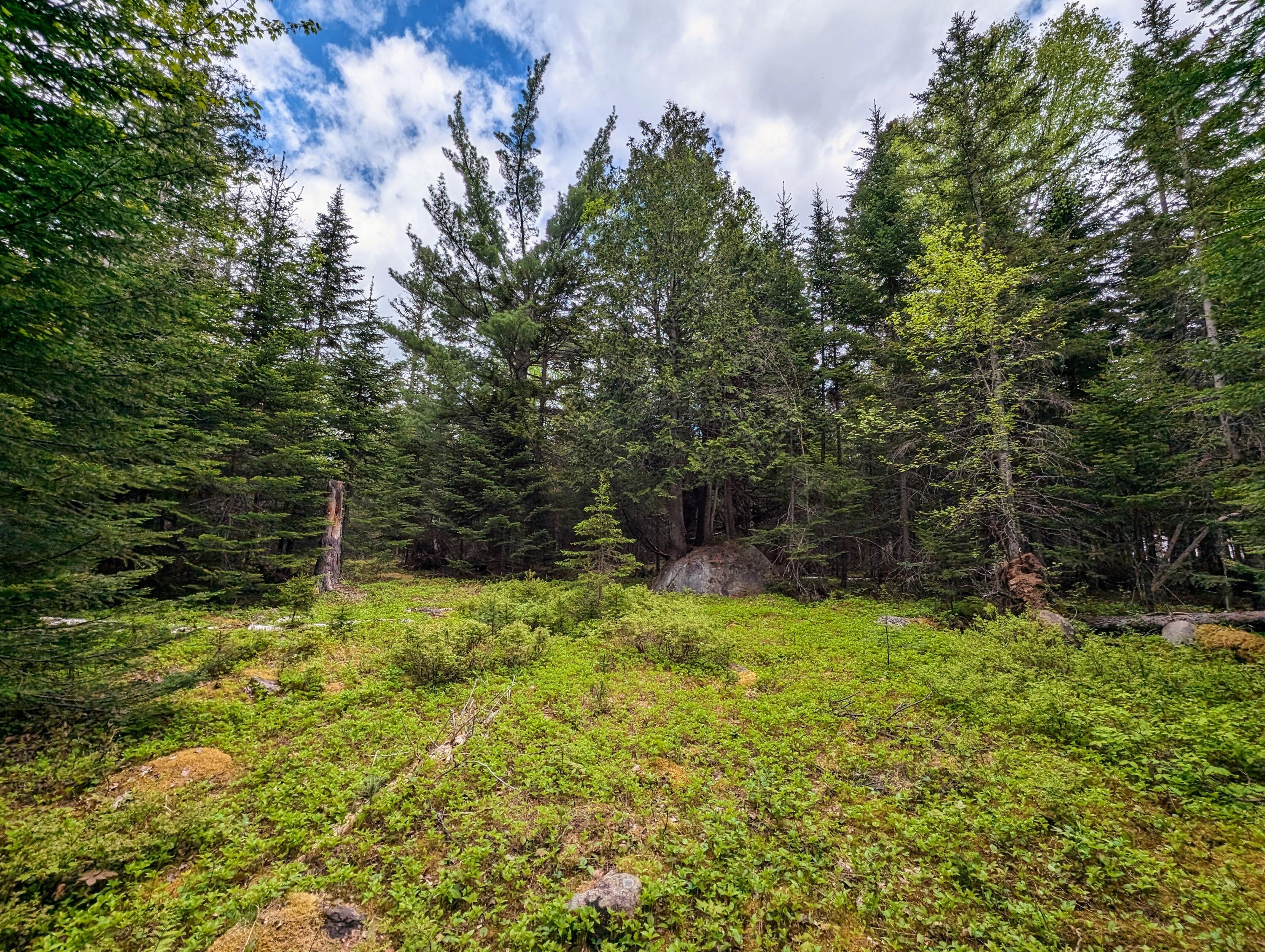 Lot 27-12 Winter Road Rangeley, ME 04970 - Photo 20 of 33 2.6 Acres on Winter Road in Rangeley!