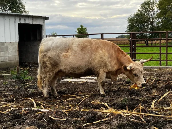 $435,000 | 8020 80th Street Northwest, Milan, MN 56262