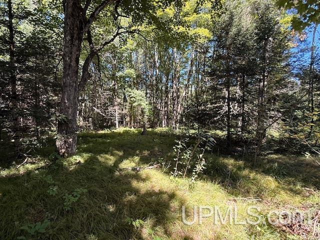 6304 Duck Lake Road Florence, WI 54121 - Photo 12 of 12