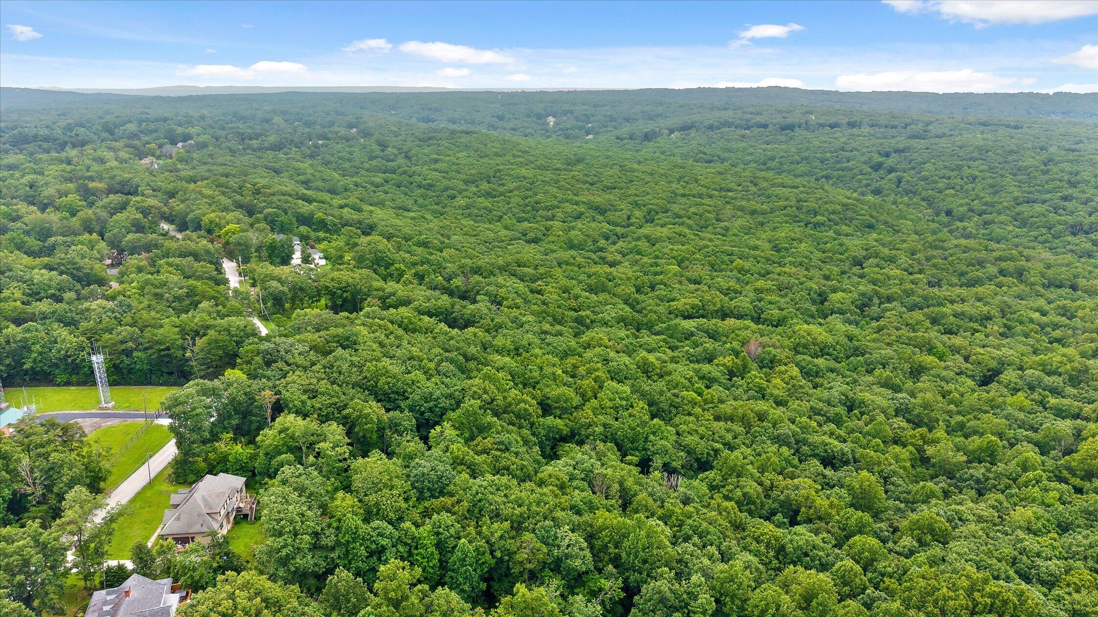 2830 Kell Road Signal Mountain, TN 37377 - Photo 10 of 16 11-Kell-11