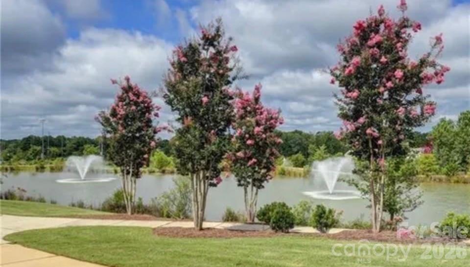 6521 Gopher Road Lancaster, SC 29720 - Photo 43 of 45 a view of a yard