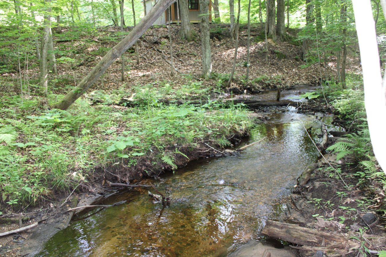 2750 Apple Creek Road Kalkaska, MI 49646 - Photo 1 of 24