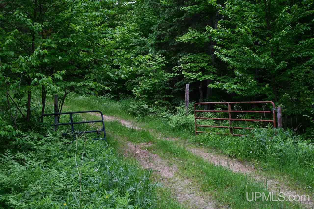 Tbd Mud Lake Road Lake Linden, MI 49945 - Photo 5 of 28