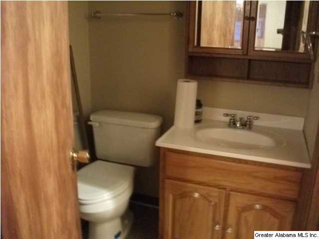 313 39th Avenue Northeast Birmingham, AL 35215 - Photo 18 of 23