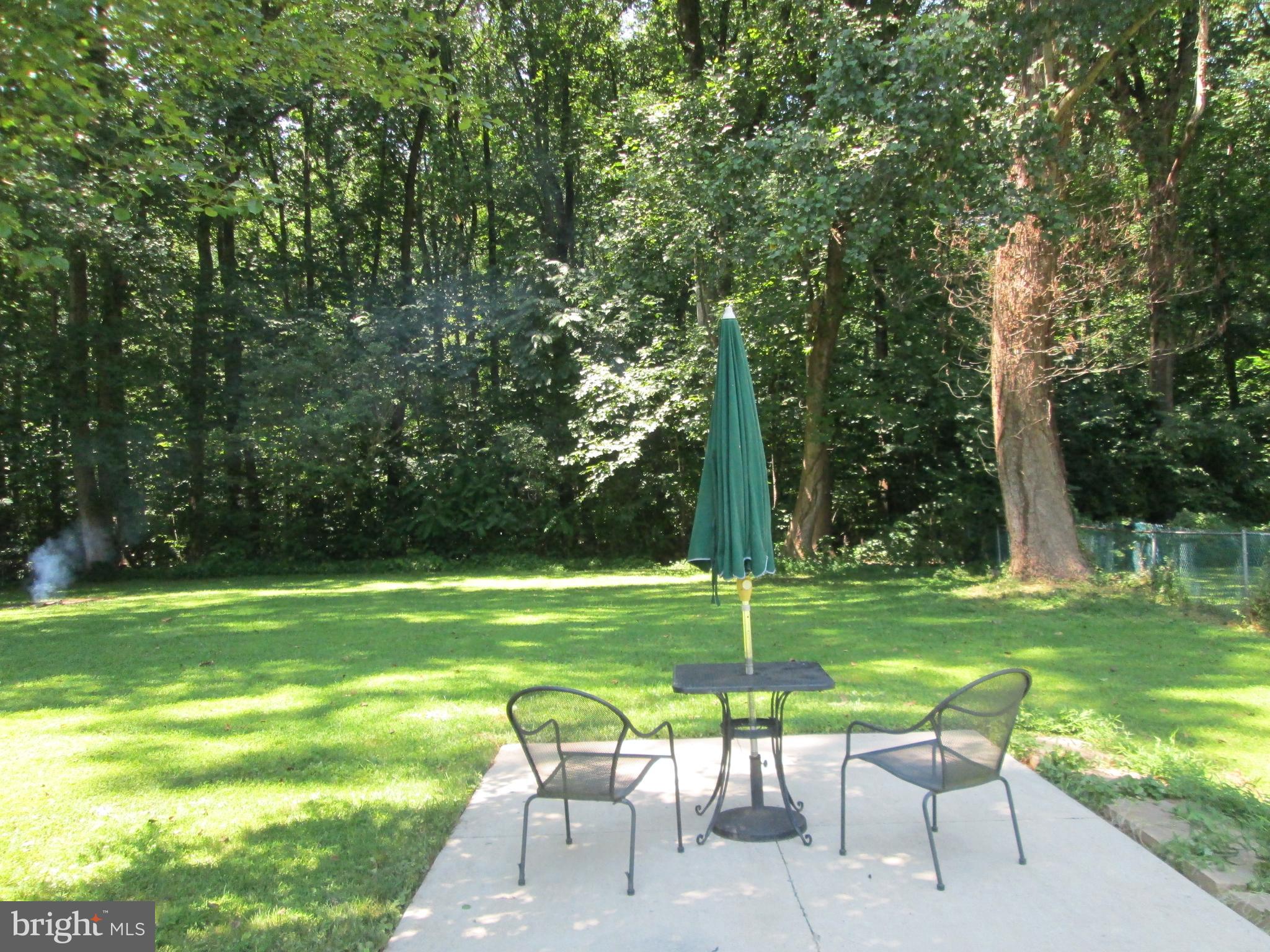 3508 New Design Road Frederick, MD 21703 - Photo 6 of 26 Back Yard Patio