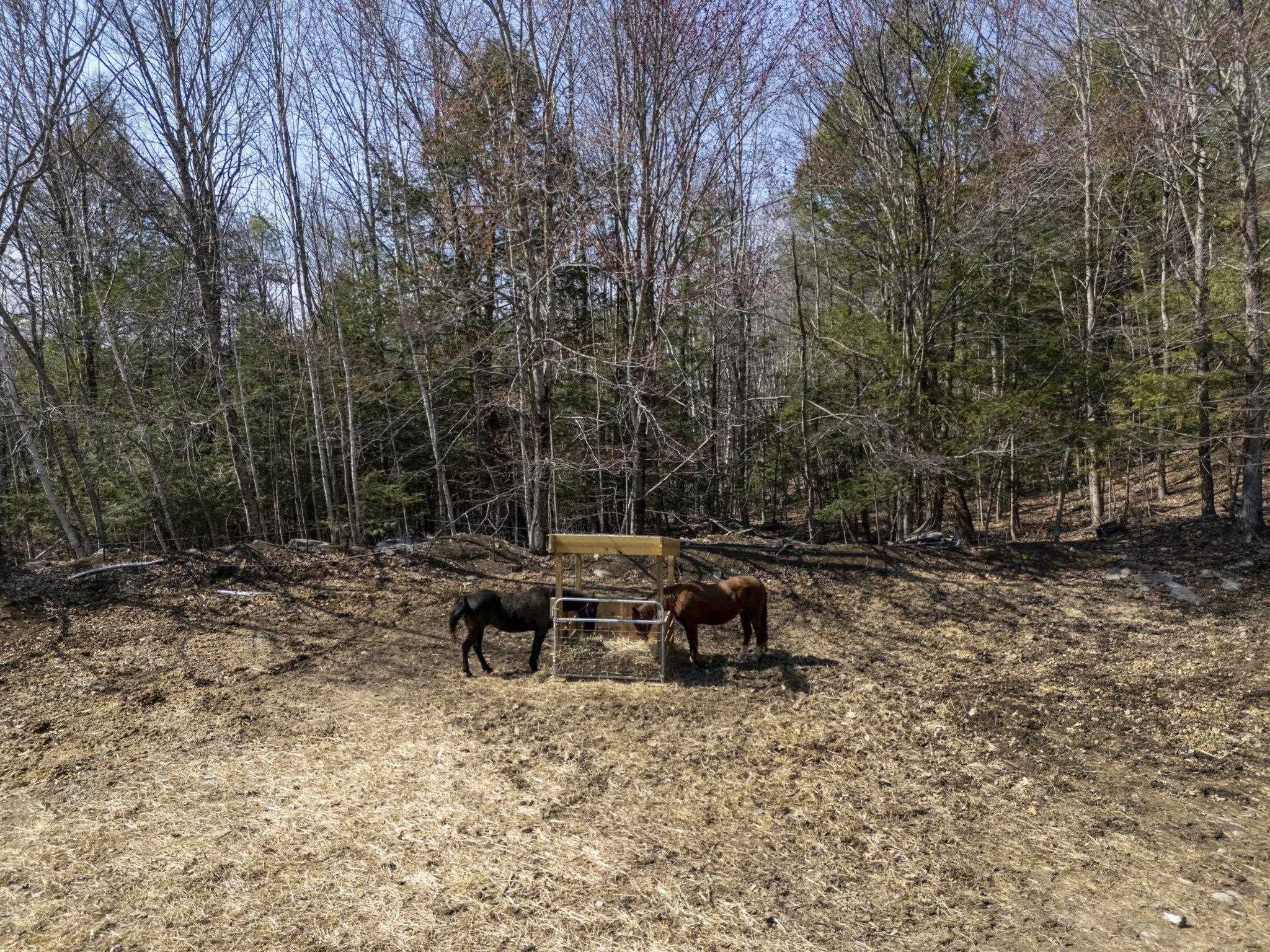 73 Mt Delight Road Deerfield, NH 03037 - Photo 2 of 42