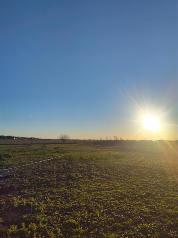 237 Barry Country Court Barry, TX 75102 - Photo 7 of 27 Back yard view