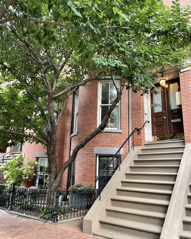 79 Appleton Street, Unit 3 Boston, MA 02116 - Photo 15 of 15 Gallery Image 15
