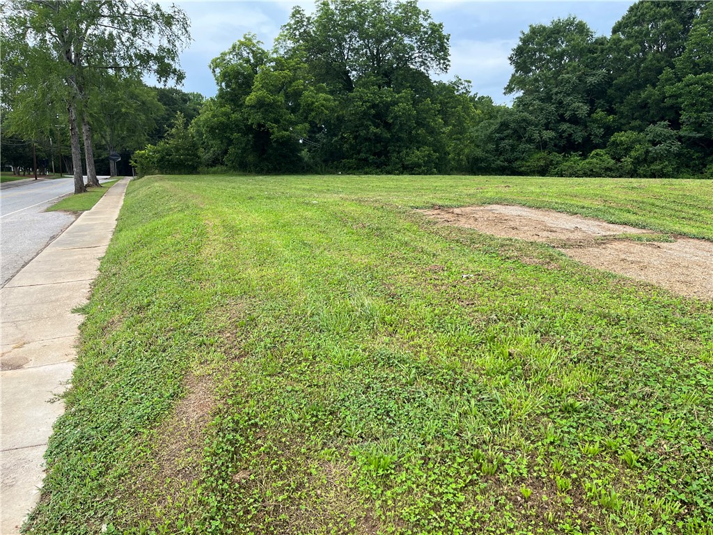 237 East Main Street Pendleton, SC 29670 - Photo 4 of 16 A spacious, verdant lot awaits your vision, bordered by a quiet street and mature trees.