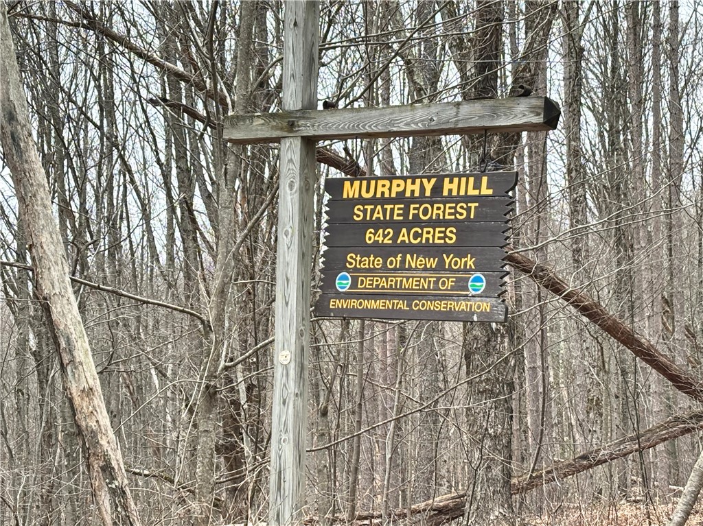 2613 Murphy Hill Road Andes, NY 13731 - Photo 34 of 35