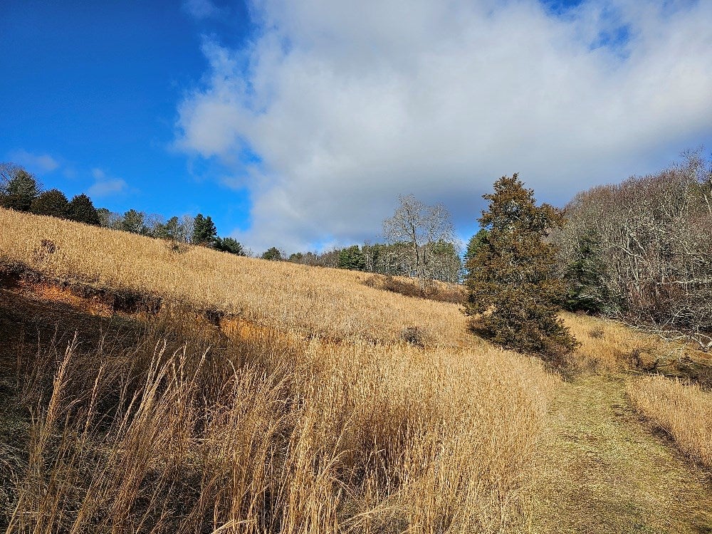 507 Jr Road Woodlawn, VA 24343 - Photo 2 of 4 Gallery Image 2