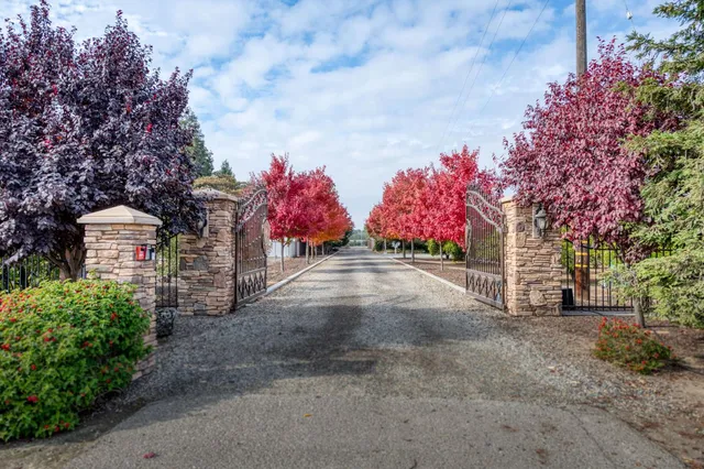 a view of a street with flower plants and trees