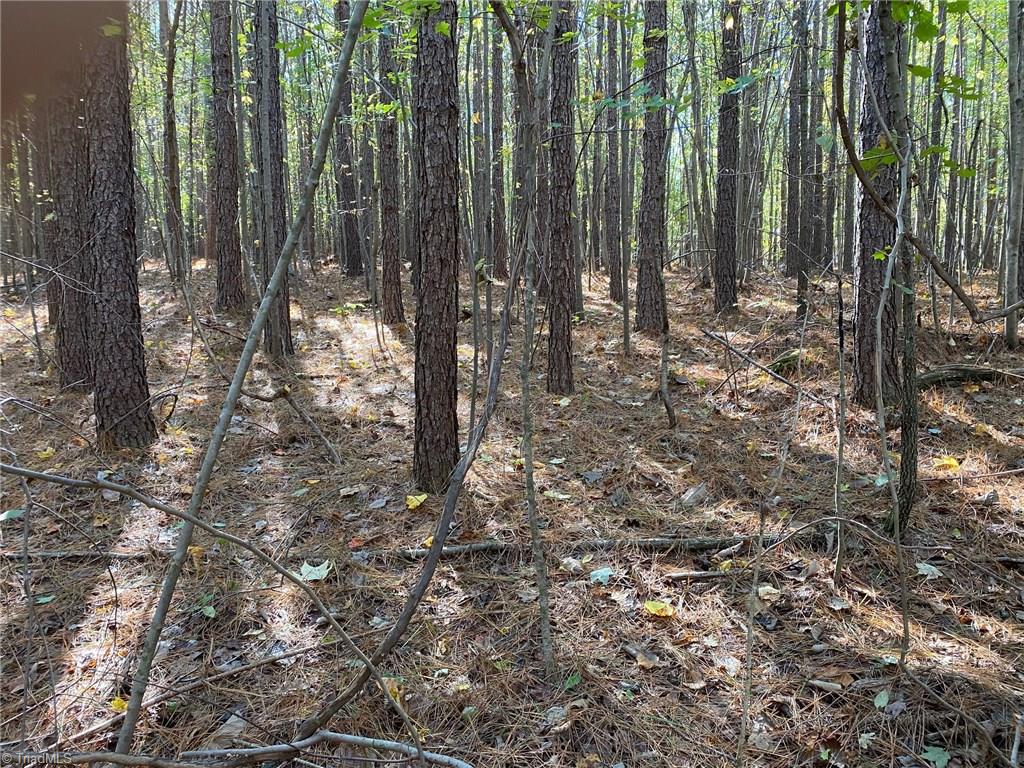 0 Horseshoe Bend Road Troy, NC 27371 - Photo 11 of 12 Gallery Image 11