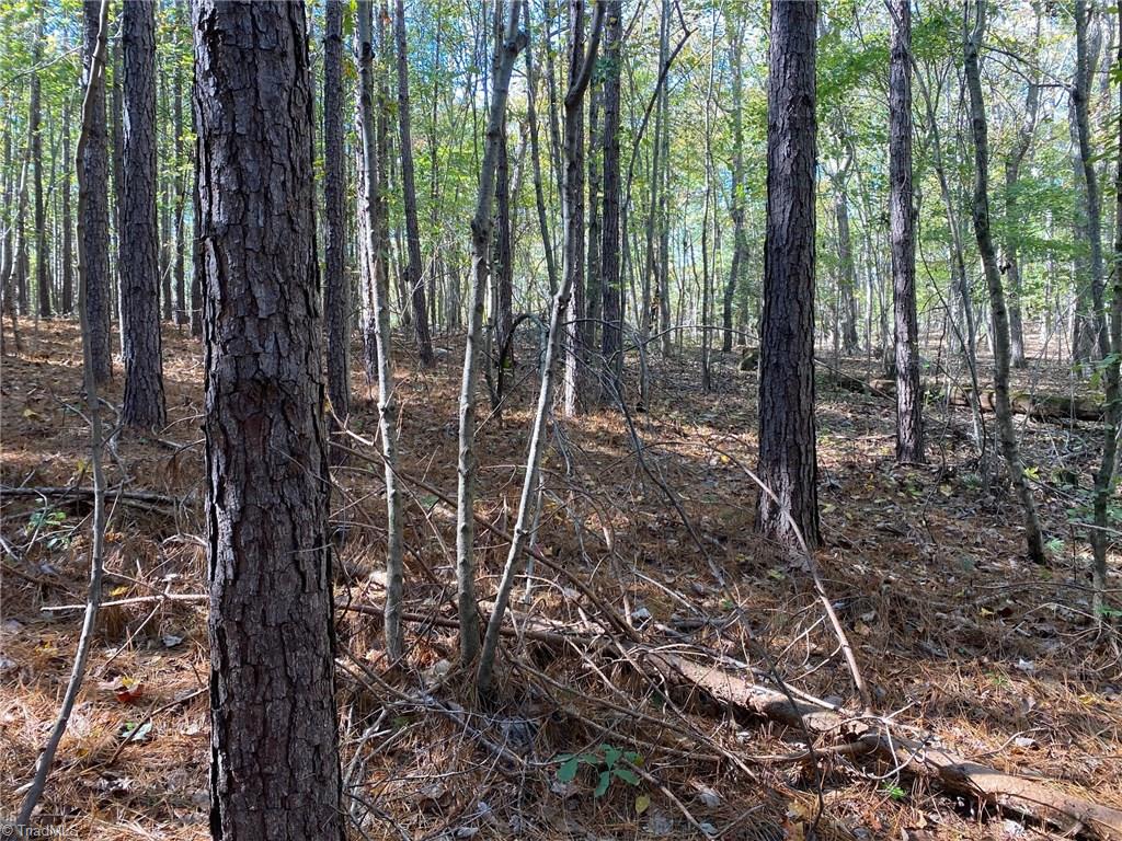 0 Horseshoe Bend Road Troy, NC 27371 - Photo 8 of 12 Gallery Image 8