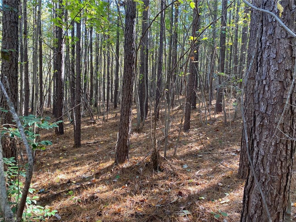 0 Horseshoe Bend Road Troy, NC 27371 - Photo 9 of 12 Gallery Image 9