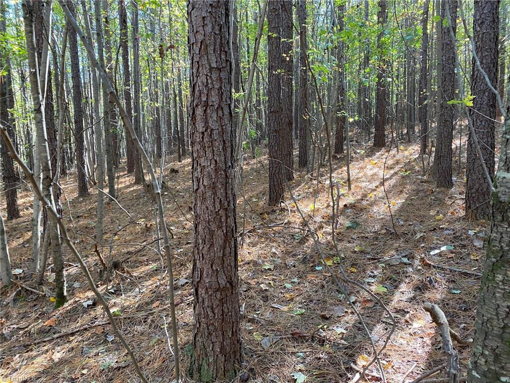 0 Horseshoe Bend Road Troy, NC 27371 - Photo 10 of 12 Gallery Image 10