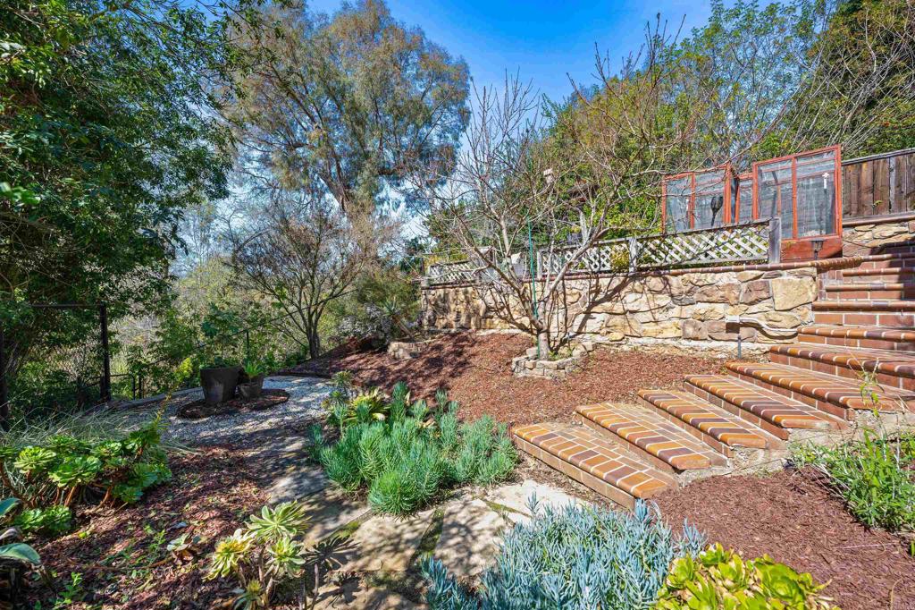 846 Val Sereno Drive Encinitas, CA 92024 - Photo 33 of 43 a view of a yard with plants and trees