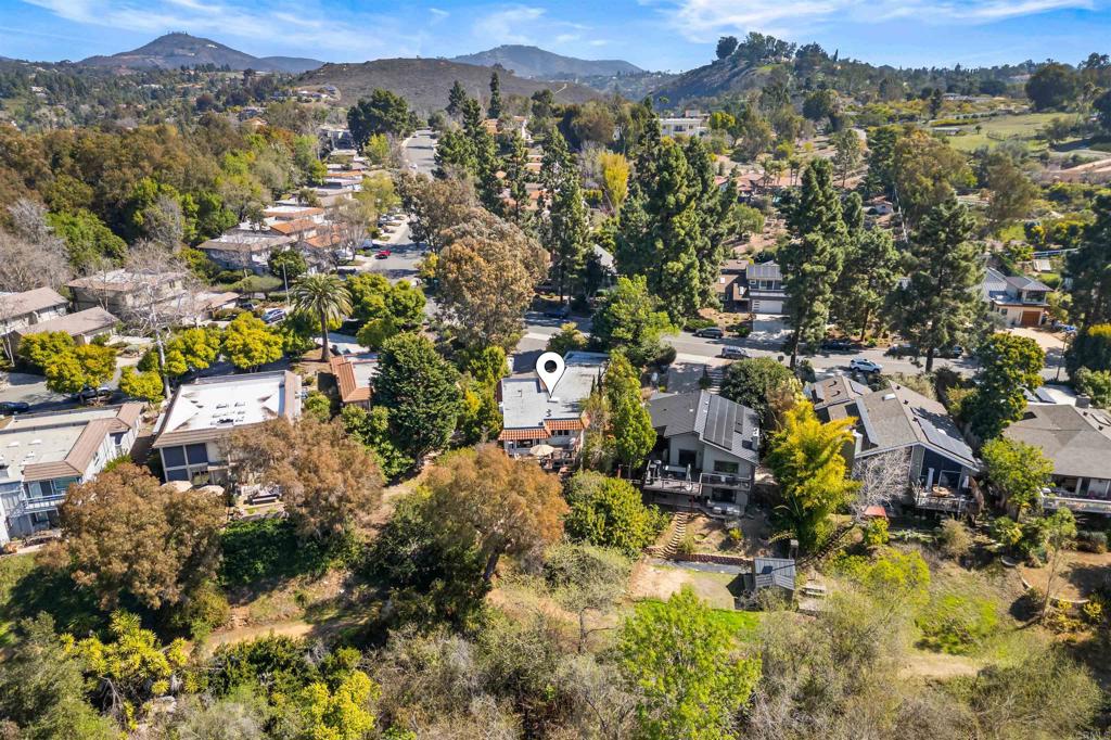 846 Val Sereno Drive Encinitas, CA 92024 - Photo 39 of 43