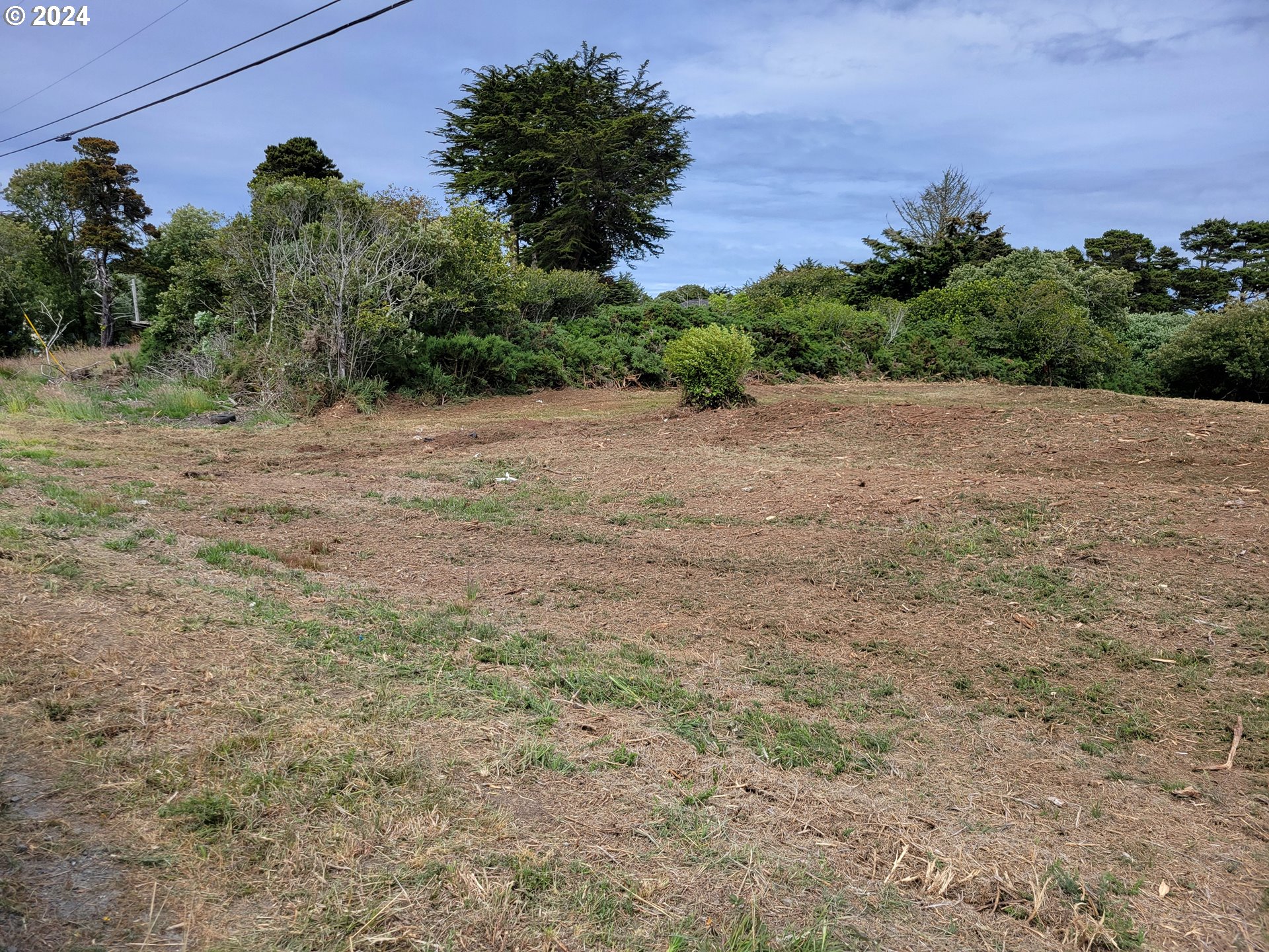 a view of a dry yard with wooden fence