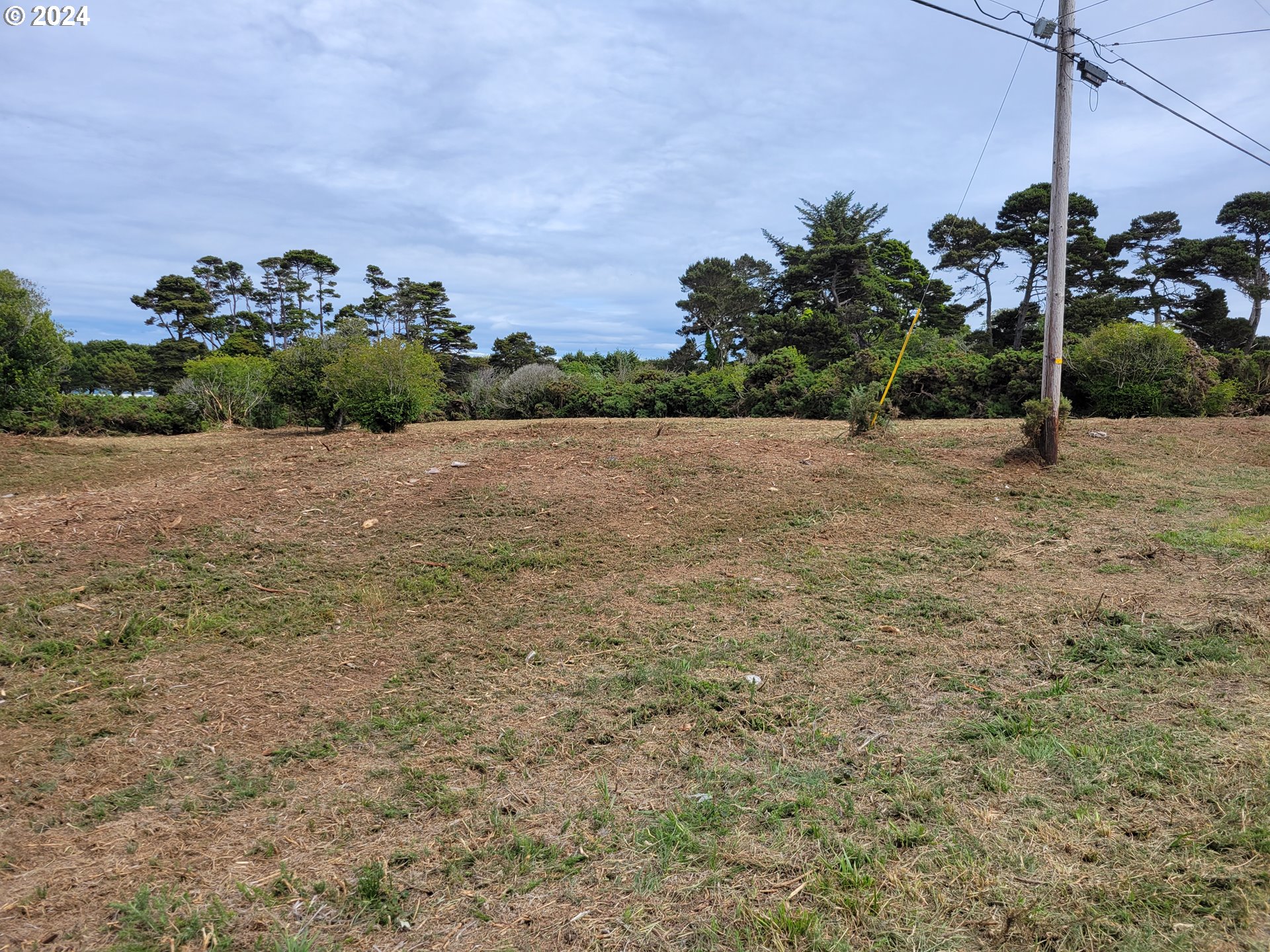 Franklin Road Southwest, Unit 610 Bandon, OR 97411 - Photo 3 of 3 a view of a rural road with plants