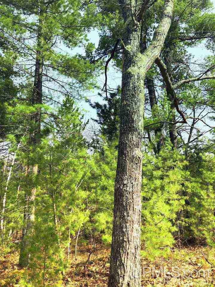 Tbd Valley Road Marquette, MI 49855 - Photo 9 of 59