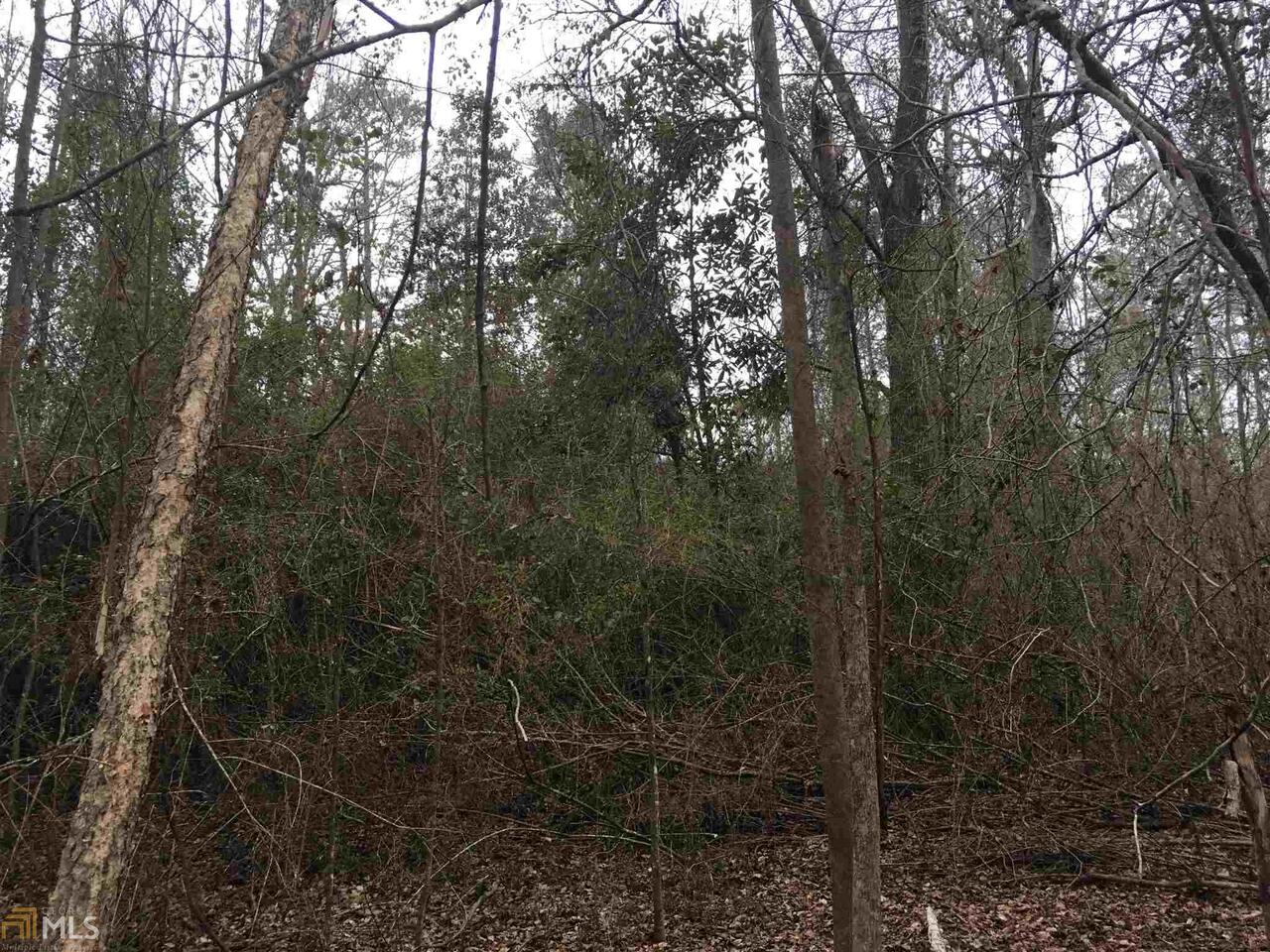 0 19th Avenue Southwest Lanett, AL 36863 - Photo 12 of 13 a view of forest