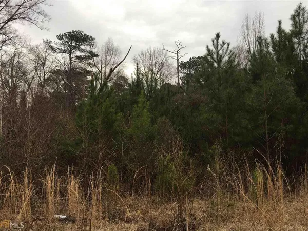 a view of tree