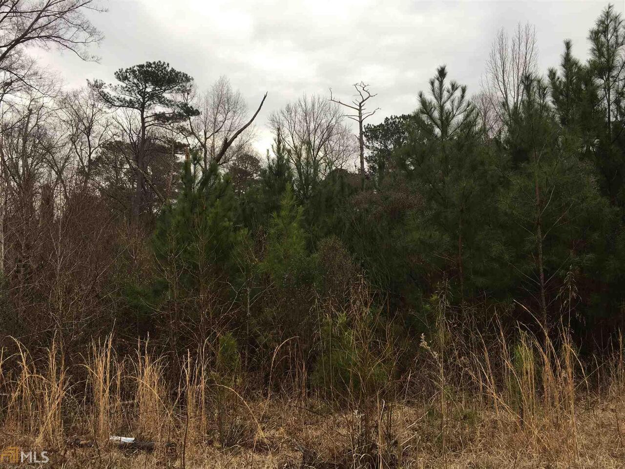 0 19th Avenue Southwest Lanett, AL 36863 - Photo 3 of 13