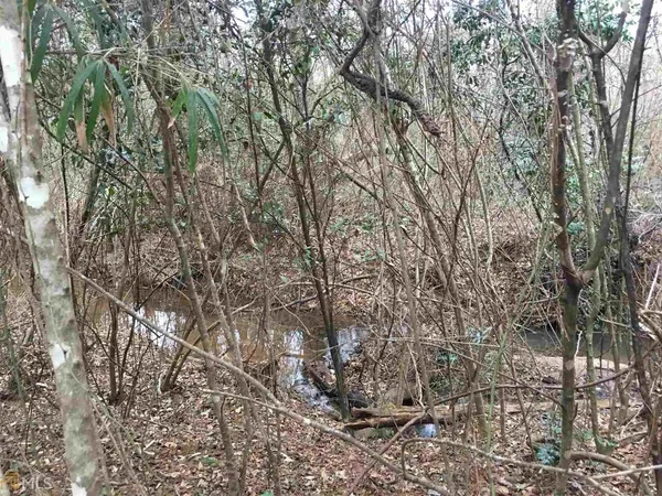 a view of a tree
