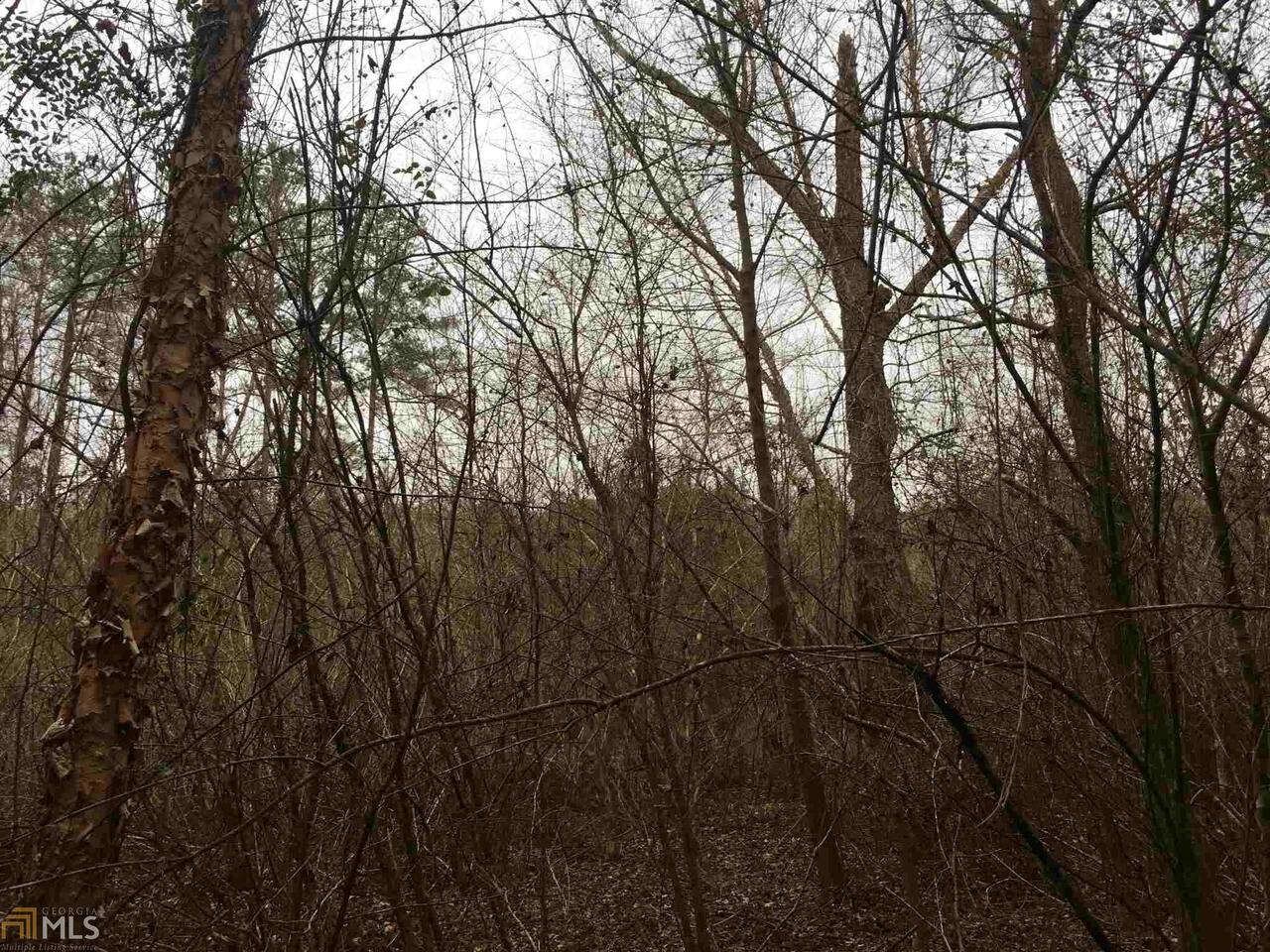 0 19th Avenue Southwest Lanett, AL 36863 - Photo 6 of 13 a backyard of a house with lots of trees