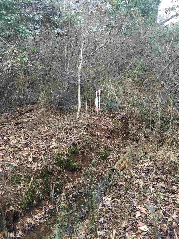 0 19th Avenue Southwest Lanett, AL 36863 - Photo 8 of 13 a view of a forest filled with trees