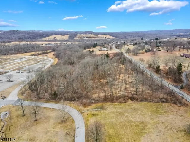 a view of city and mountain