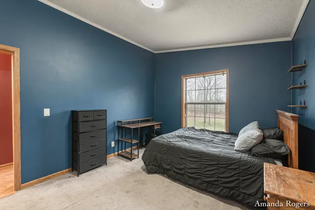 $200,000 | 13447 Christopher Street, Lake Odessa, MI 48849