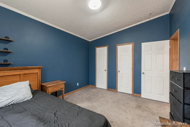 $200,000 | 13447 Christopher Street, Lake Odessa, MI 48849