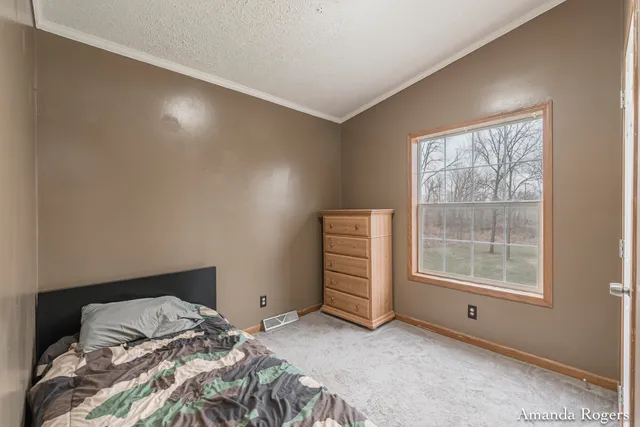 $200,000 | 13447 Christopher Street, Lake Odessa, MI 48849