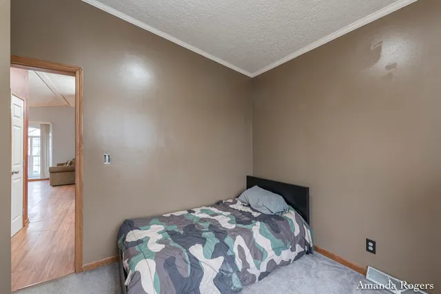 $200,000 | 13447 Christopher Street, Lake Odessa, MI 48849