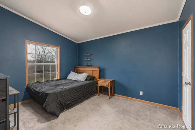 $200,000 | 13447 Christopher Street, Lake Odessa, MI 48849